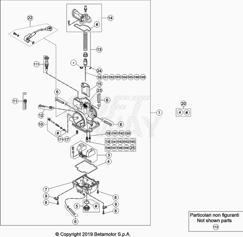 Spare part for BETA 300  ENDURO RR 300 2T 2021 - Carburateur