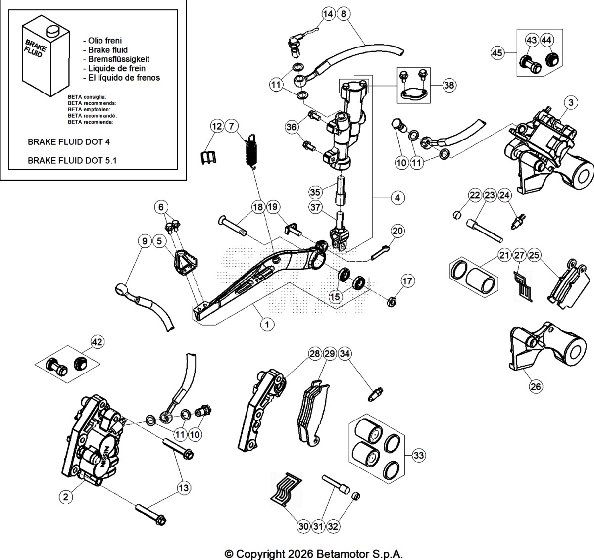 Spare parts for BETA 300  ENDURO RR 300 2T 2021 - Freins