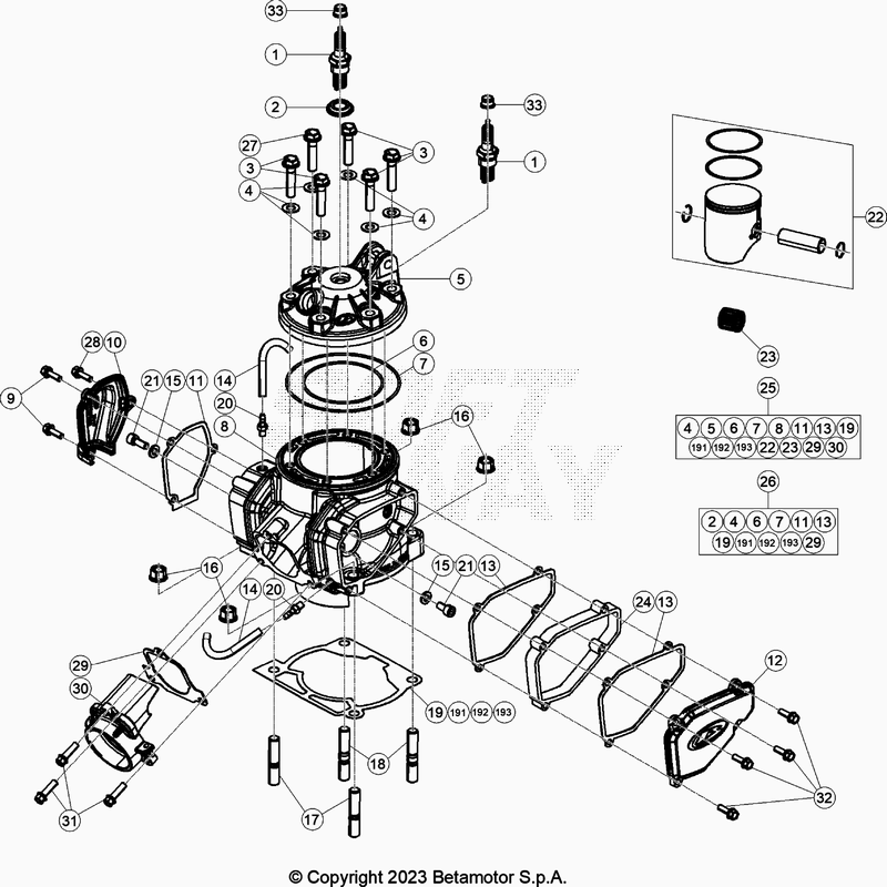 Spare part for BETA 300  ENDURO RR 300 2T RACING 2024 - Cylindre-Culasse-Distribution